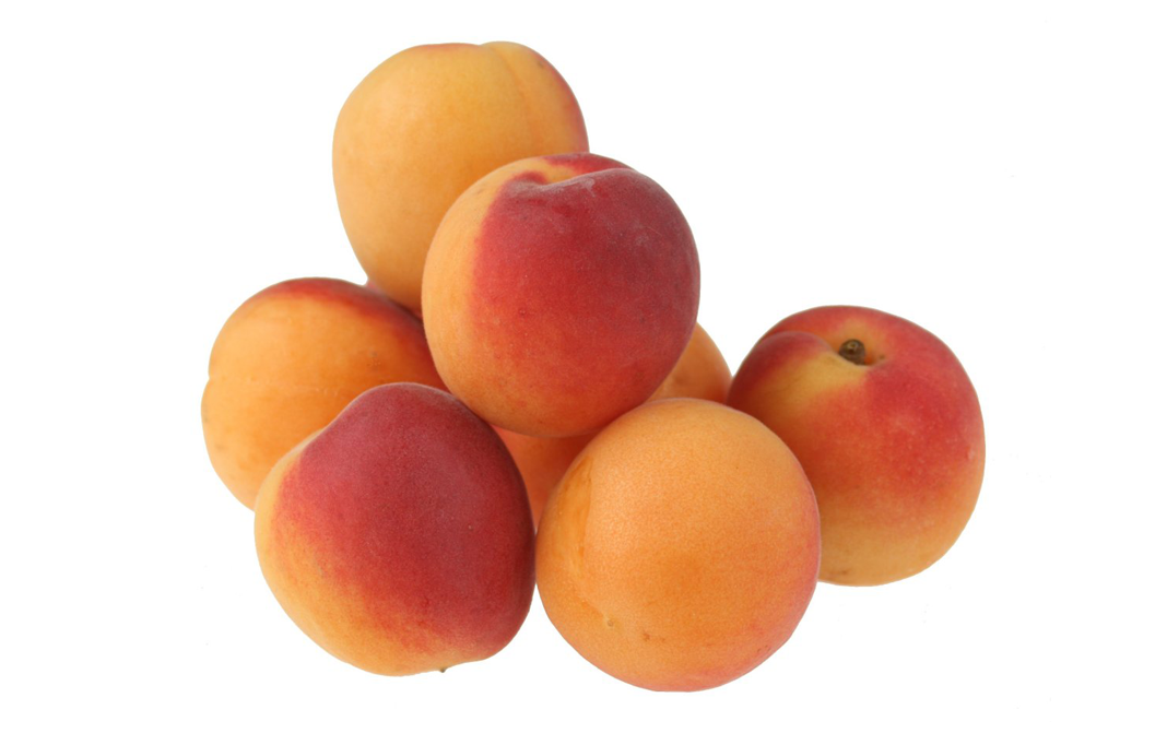 Apricots Complete Information Including Health Benefits, Selection Guide and Usage Tips GoToChef